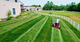 Lawn Care-min