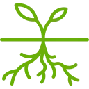 roots icon