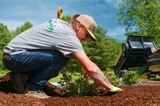 seasonalcleanup Seasonal Cleanup