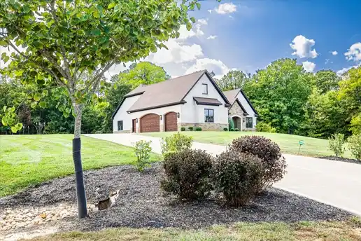 Corner of yard landscaping with a gravel path, plants, and a tree