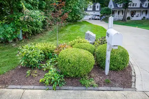 Landscape with mulch and new plants that are labeled