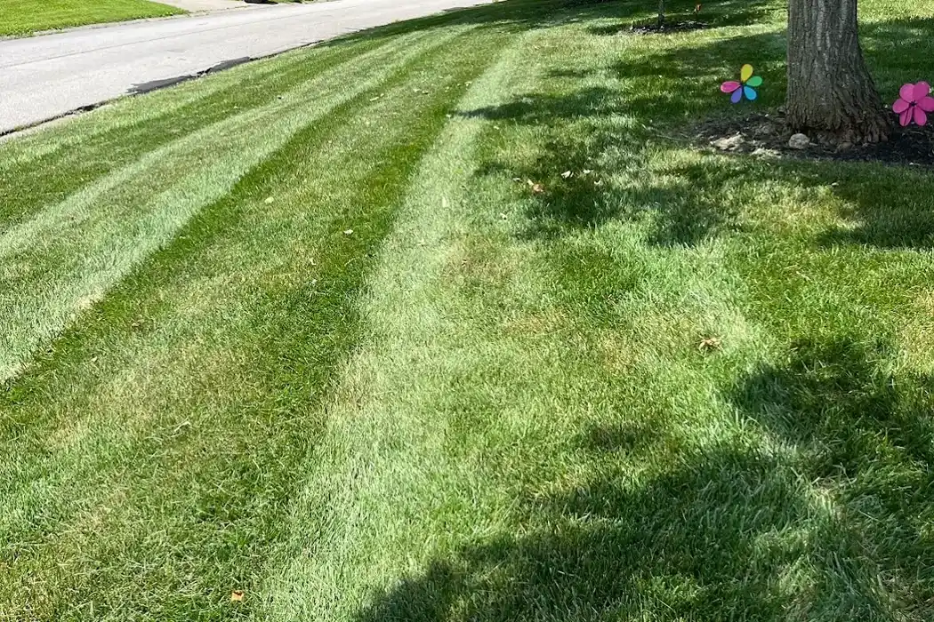 Landscaping