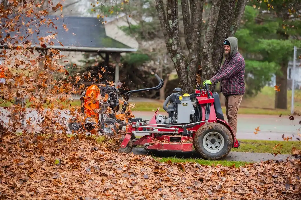 Leaf Removal