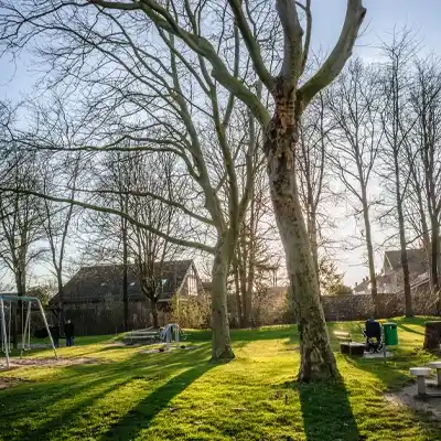 Fall Perennial Pruning