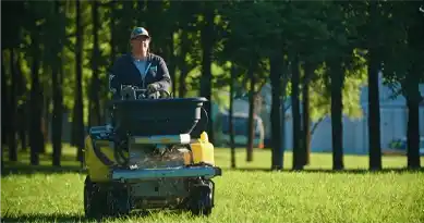 seeding Lawn Fertilization care